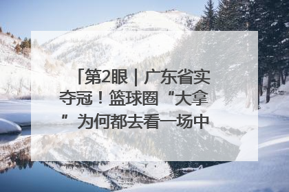 第2眼｜广东省实夺冠！篮球圈“大拿”为何都去看一场中学生比赛？
