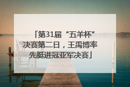 第31届“五羊杯”决赛第二日，王禹博率先挺进冠亚军决赛