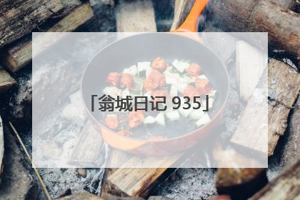 翁城日记 935