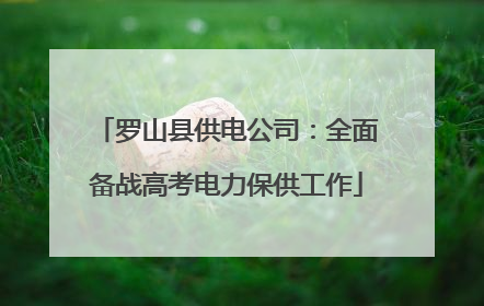 罗山县供电公司：全面备战高考电力保供工作