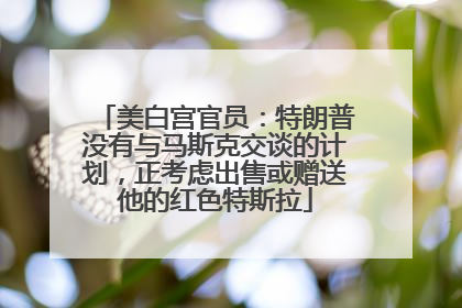 美白宫官员：特朗普没有与马斯克交谈的计划，正考虑出售或赠送他的红色特斯拉