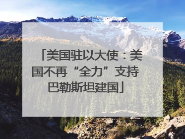 美国驻以大使：美国不再“全力”支持巴勒斯坦建国