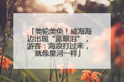美轮美奂！威海海边出现“蓝眼泪”，游客：海浪打过来，就像星河一样