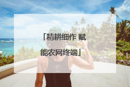 精耕细作 赋能农网终端