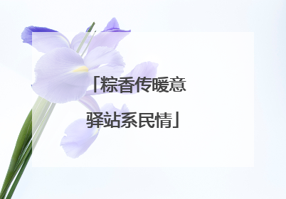 粽香传暖意 驿站系民情