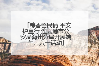 粽香警民情 平安护童行 连云港市公安局海州分局开展端午、六一活动
