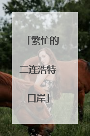 繁忙的二连浩特口岸