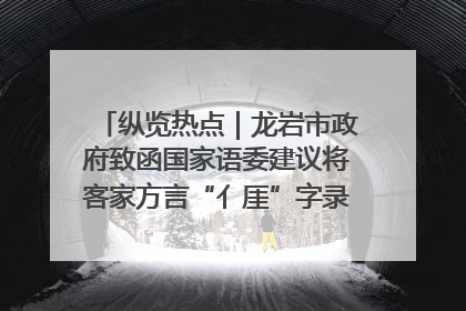 纵览热点｜龙岩市政府致函国家语委建议将客家方言“亻厓”字录入《新华字典》引发热议，当地回应