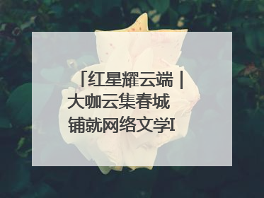 红星耀云端｜大咖云集春城 铺就网络文学IP转化新路径