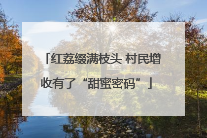 红荔缀满枝头 村民增收有了“甜蜜密码”