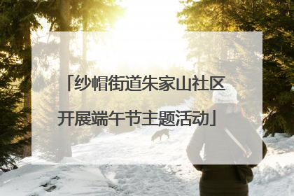 纱帽街道朱家山社区开展端午节主题活动