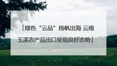 绿色“云品”扬帆出海 云南玉溪农产品出口呈现良好态势