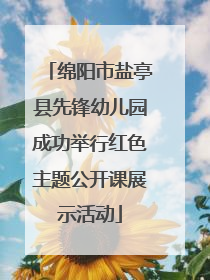 绵阳市盐亭县先锋幼儿园成功举行红色主题公开课展示活动