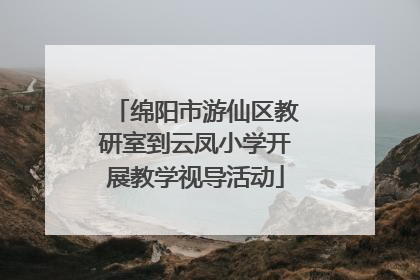 绵阳市游仙区教研室到云凤小学开展教学视导活动