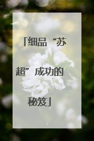 细品“苏超”成功的秘笈