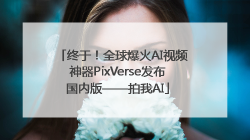终于！全球爆火AI视频神器PixVerse发布国内版——拍我AI