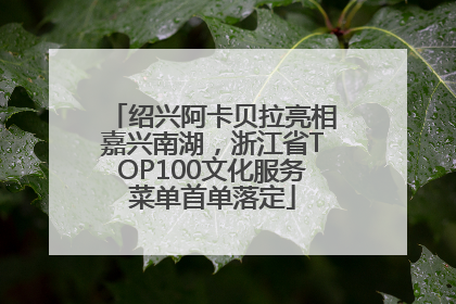 绍兴阿卡贝拉亮相嘉兴南湖，浙江省TOP100文化服务菜单首单落定