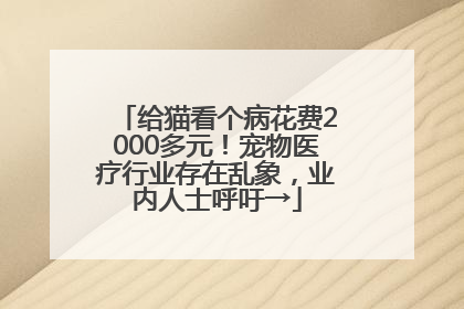 给猫看个病花费2000多元！宠物医疗行业存在乱象，业内人士呼吁→