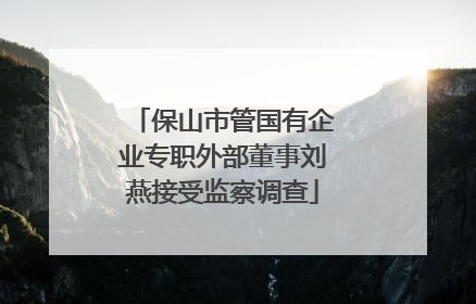 保山市管国有企业专职外部董事刘燕接受监察调查