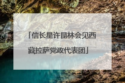 信长星许昆林会见西藏拉萨党政代表团