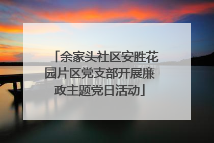 余家头社区安胜花园片区党支部开展廉政主题党日活动