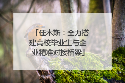 佳木斯：全力搭建高校毕业生与企业精准对接桥梁