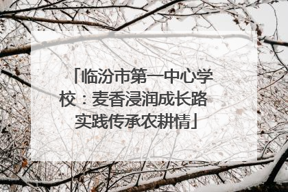 临汾市第一中心学校：麦香浸润成长路 实践传承农耕情