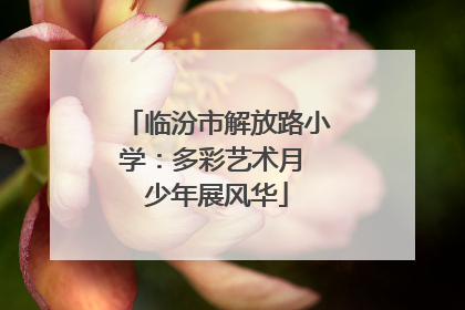 临汾市解放路小学：多彩艺术月 少年展风华
