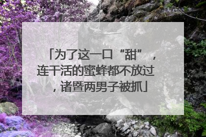 为了这一口“甜”，连干活的蜜蜂都不放过，诸暨两男子被抓