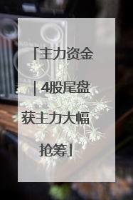 主力资金｜4股尾盘获主力大幅抢筹