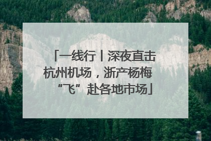 一线行丨深夜直击杭州机场，浙产杨梅“飞”赴各地市场