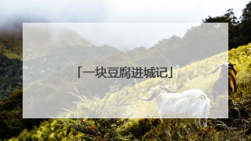 一块豆腐进城记