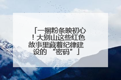 一捆粉条映初心！大别山这些红色故事里藏着纪律建设的 “密码”
