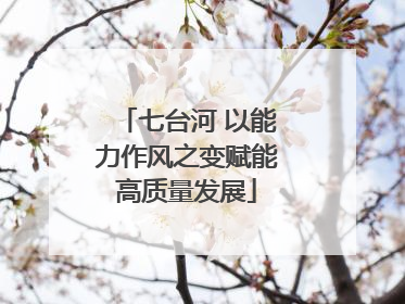 七台河 以能力作风之变赋能高质量发展