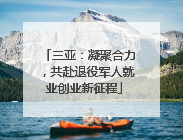 三亚：凝聚合力，共赴退役军人就业创业新征程