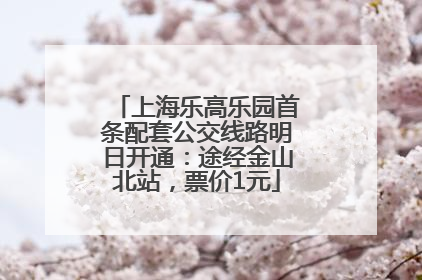 上海乐高乐园首条配套公交线路明日开通：途经金山北站，票价1元