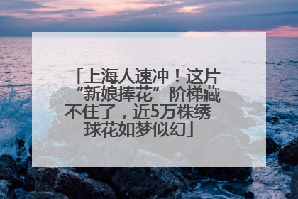上海人速冲！这片“新娘捧花”阶梯藏不住了，近5万株绣球花如梦似幻