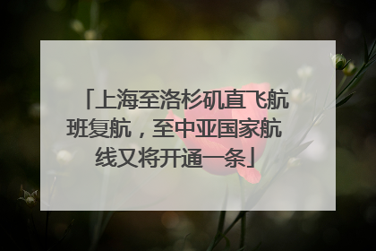 上海至洛杉矶直飞航班复航，至中亚国家航线又将开通一条