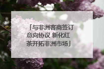 与非洲客商签订意向协议 新化红茶开拓非洲市场