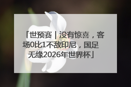 世预赛｜没有惊喜，客场0比1不敌印尼，国足无缘2026年世界杯