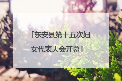 东安县第十五次妇女代表大会开幕