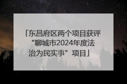 东昌府区两个项目获评“聊城市2024年度法治为民实事”项目