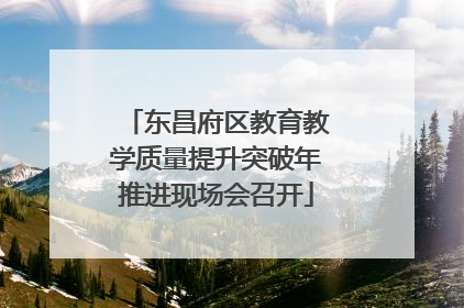 东昌府区教育教学质量提升突破年推进现场会召开