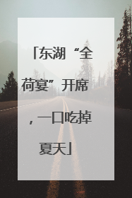 东湖“全荷宴”开席，一口吃掉夏天