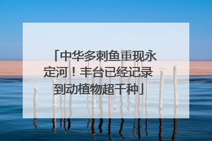 中华多刺鱼重现永定河！丰台已经记录到动植物超千种