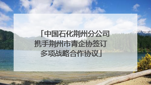 中国石化荆州分公司携手荆州市青企协签订多项战略合作协议