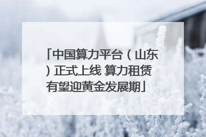 中国算力平台（山东）正式上线 算力租赁有望迎黄金发展期
