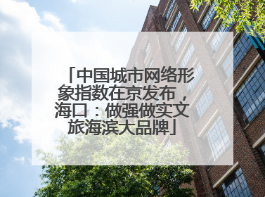 中国城市网络形象指数在京发布，海口：做强做实文旅海滨大品牌