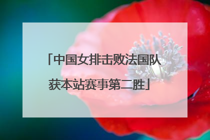中国女排击败法国队 获本站赛事第二胜