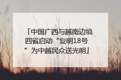 中国广西与越南边境四省启动“复明18号”为中越民众送光明